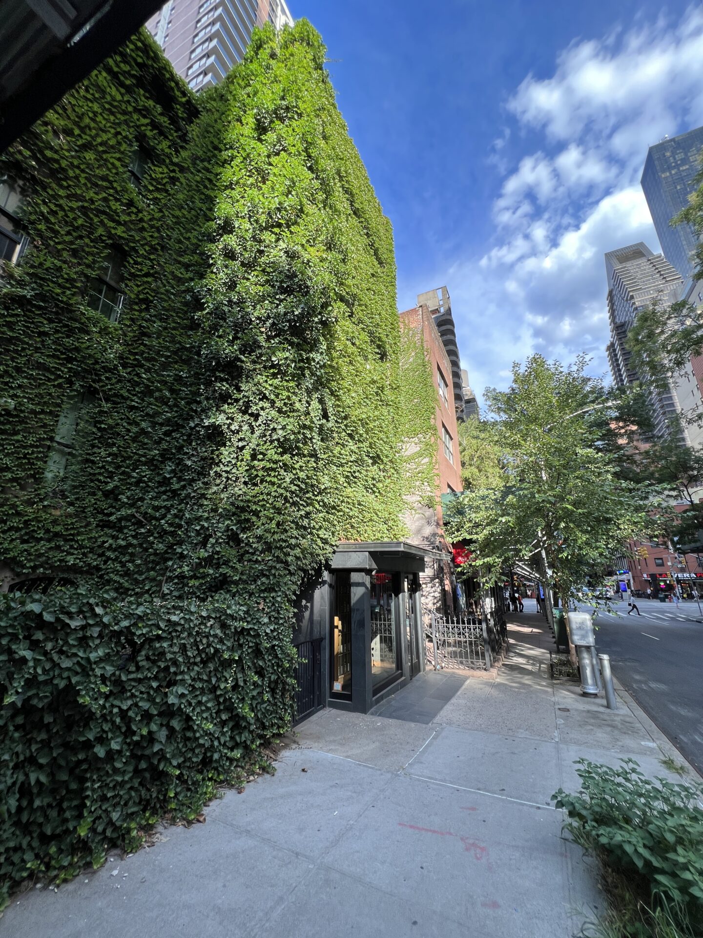 Trees of the Month (September 2022) USJapan Lifehacker